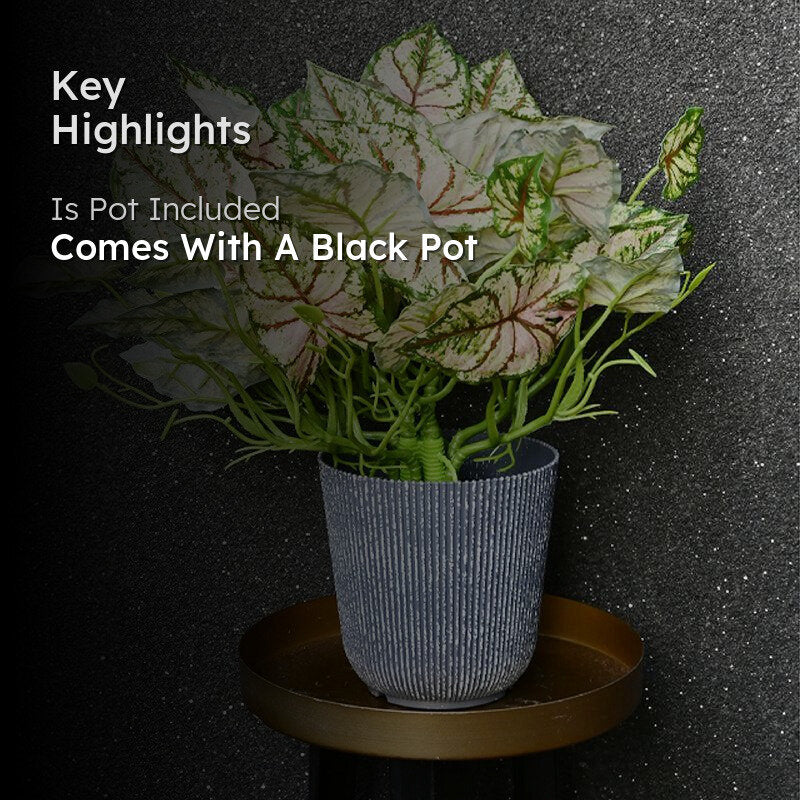 Caladelle Artificial Caladium Plant With Black Plastic Pot - 40 cm media 2