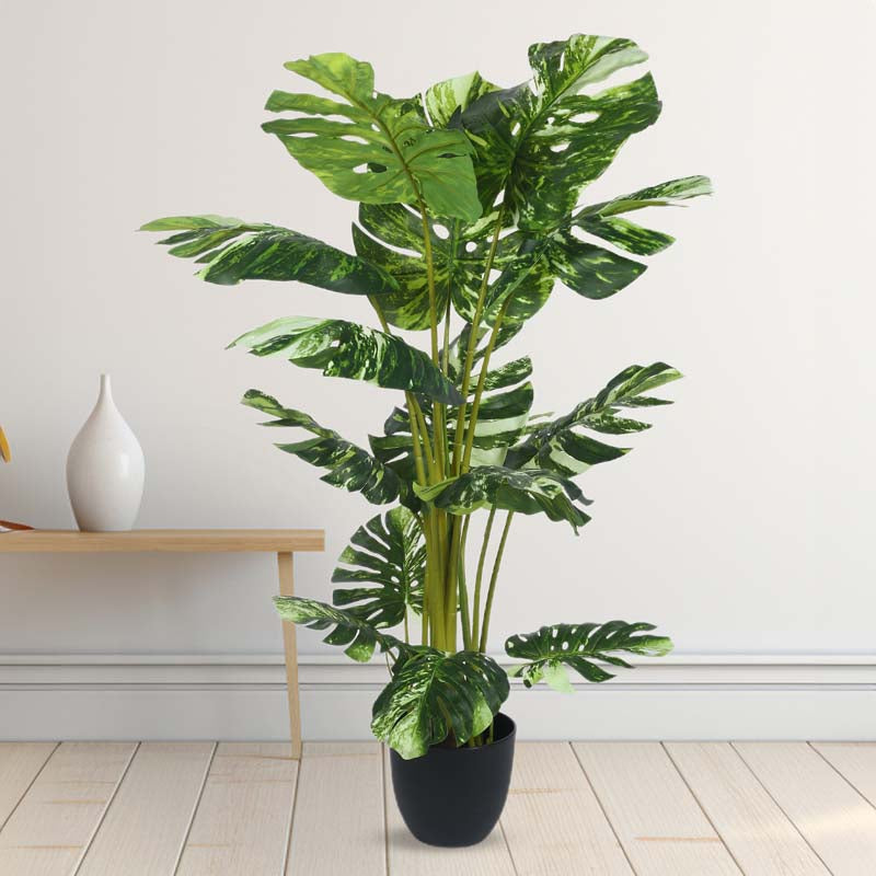 Faux Lush Variegated Monstera Plant With Black Plastic Pot - 4 Feet image 3