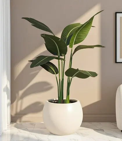 Bamboo · PVC · Plastic