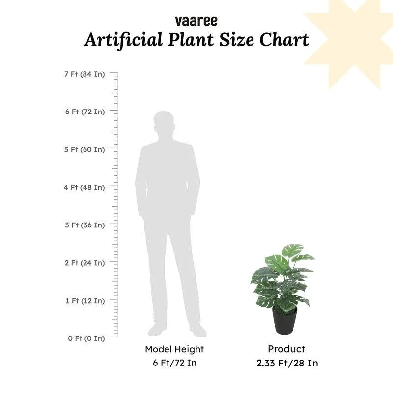 Regal Monstera Artificial Plant Without Pot - 2.3 Feet media 8