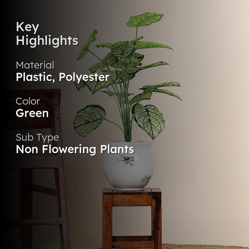 Faux Botanic White Caladium Plant - 2 Feet media 2