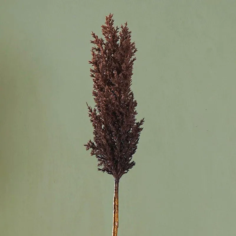 Pampera Artificial Pampas Without Vase (Brown) - 3 Feet media 4
