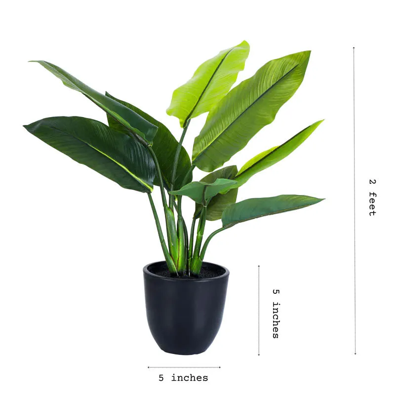 Artificial Banana Plant With Black Plastic Pot - 1 Feet media 6