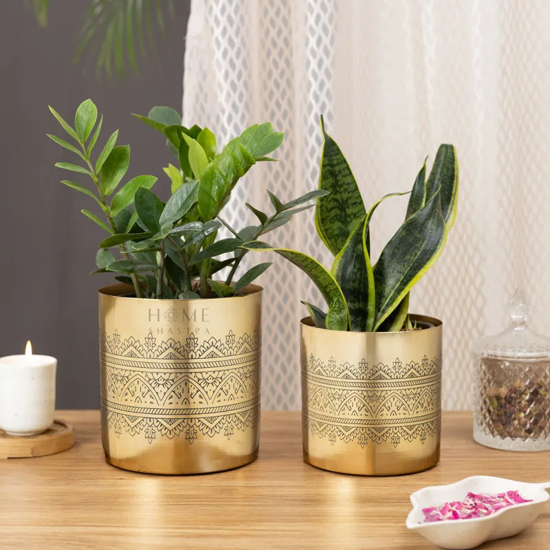 Vinyas Raaga Golden Planter - Set Of Two media 2