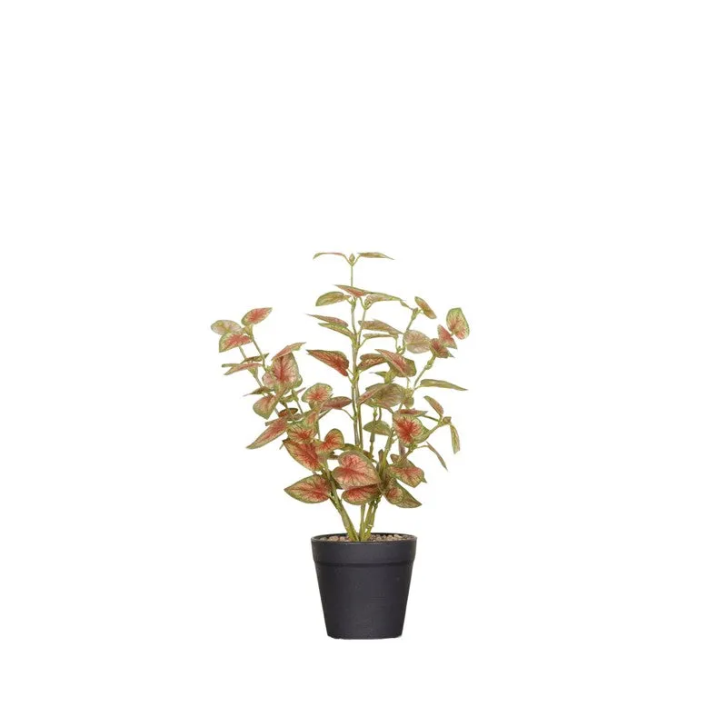 Artificial Coleous Plant With Black Fiber Pot (Brown) - 1 Feet media 4