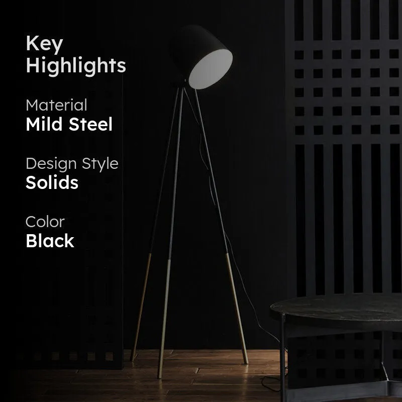 Black tripod floor lamp with key highlights text overlay