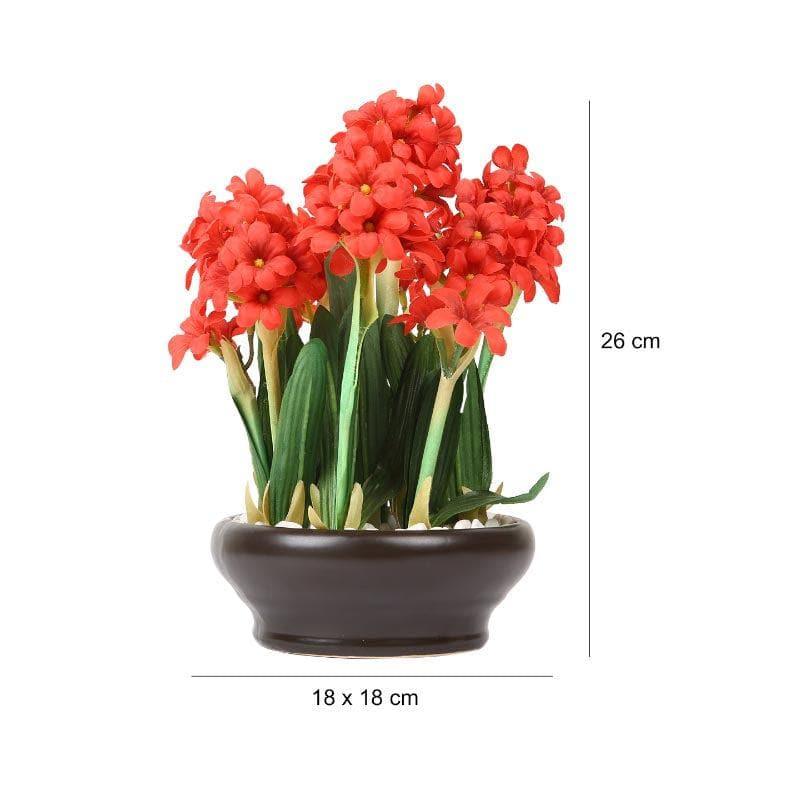 Faux Hyacinth Bonsai In Ceramic Pot (26 cms) - Red media 4
