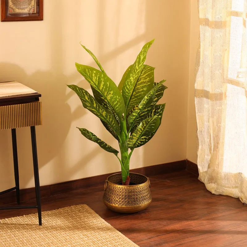 Artificial Dieffenbachia Plant With Black Plastic Pot 3 ft media 4