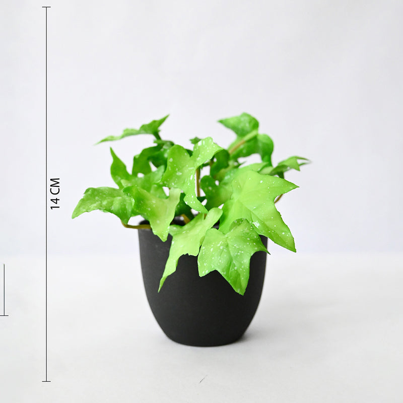 Ivella Artificial Mini Ivy Plant With Basic Black Plastic Pot (Light Green) - 14 cm media 9