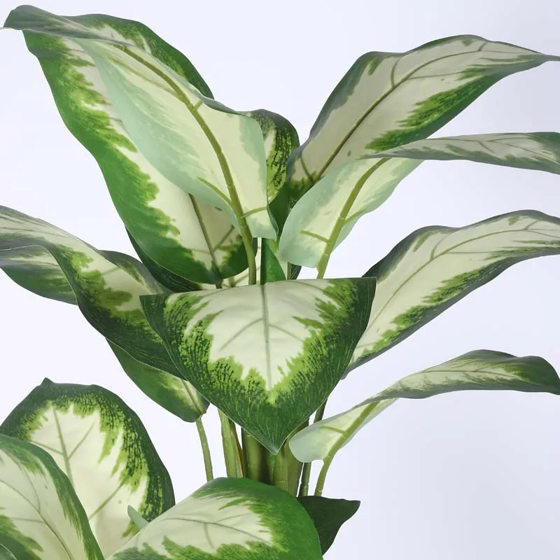 Faux Lush Variegated Dieffenbachia Plant With Black Plastic Pot - 5.2 Feet media 5