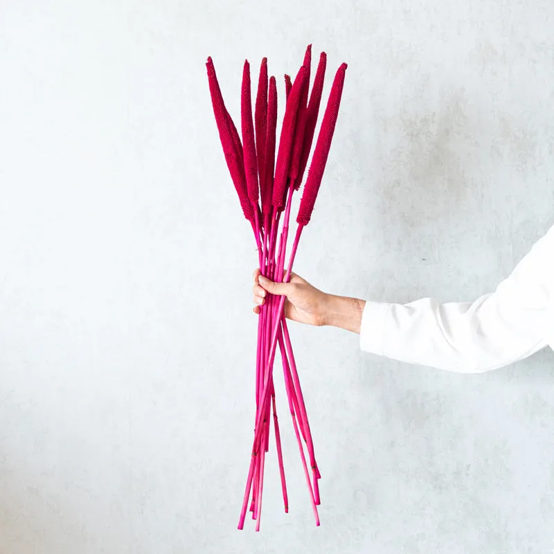 Sival Dried Millet Stick (Red & Pink) - Set Of Ten media 1