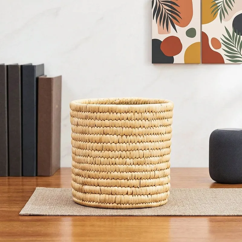 Ugaoo Date Palm Planter - 17 CM media 1