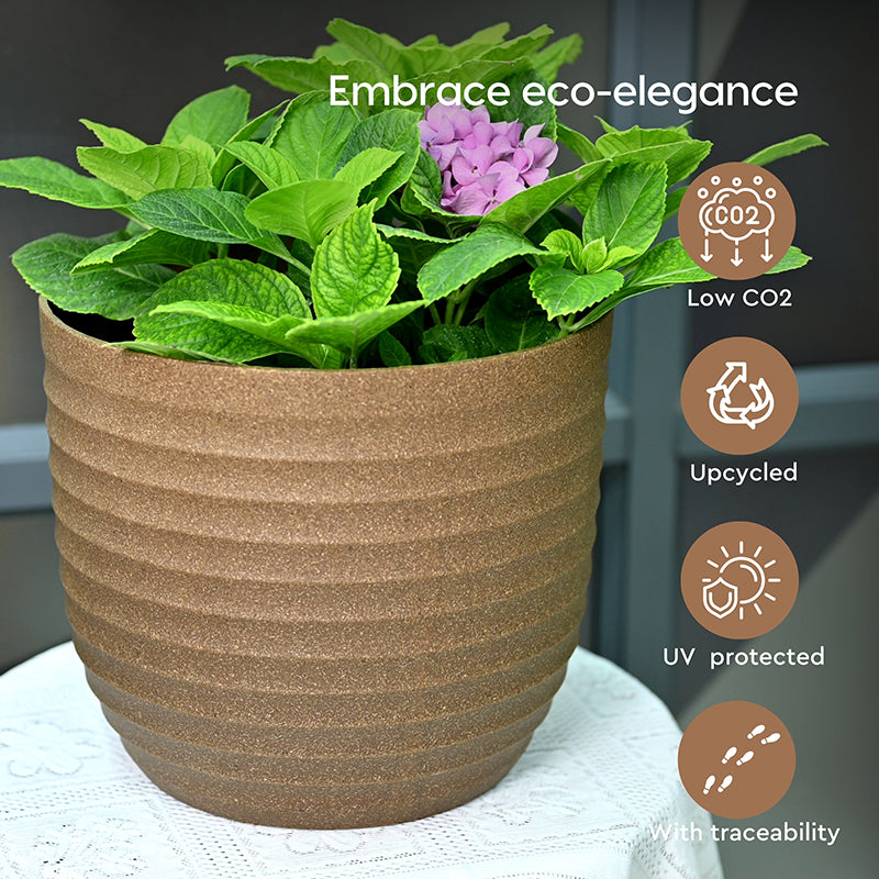 Vita Shell Planter - Set Of Two image 5