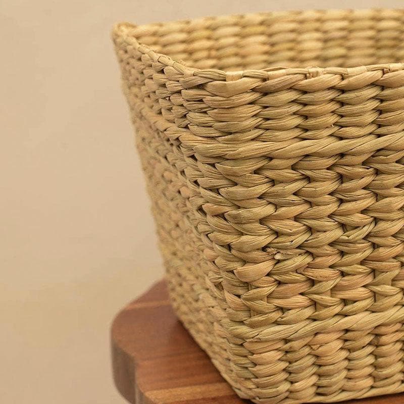 Ugaoo Seagrass Planter - 22 CM media 5