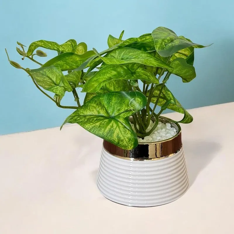 Opalyn Ceramic Vase With Artificial Plant media 1