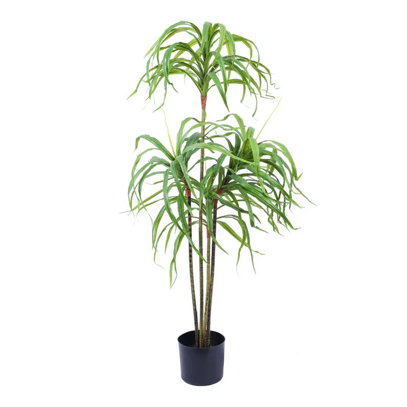 Artificial Realistic Dracaena Plant With Black Plastic Pot - 4.9 Feet media 5