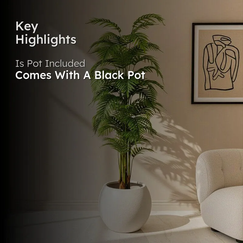 Verdiq II Artificial Plant With Black Plastic Pot - 6 Feet media 2