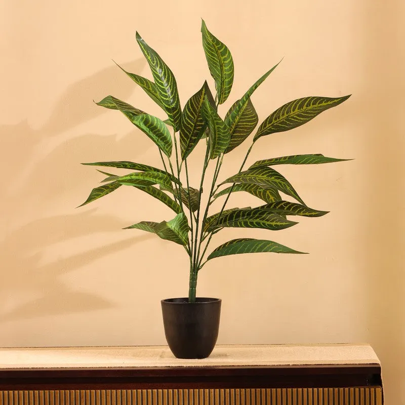 Artificial Croton Plant With Pot - 2 ft media 4