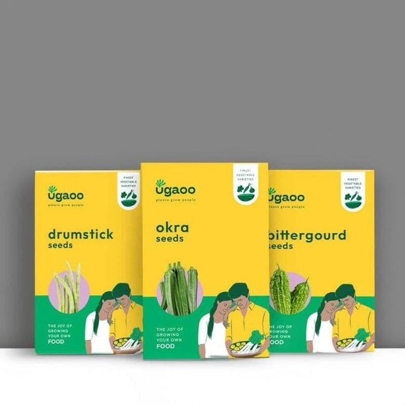Ugaoo Veges Seeds (Bittergourd, Drumstick, Okra) - Set Of Three media 4