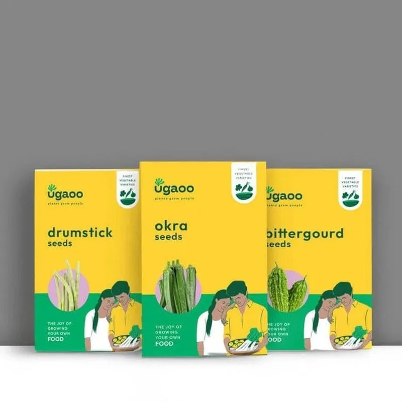 Ugaoo Veges Seeds (Bittergourd, Drumstick, Okra) - Set Of Three media 4