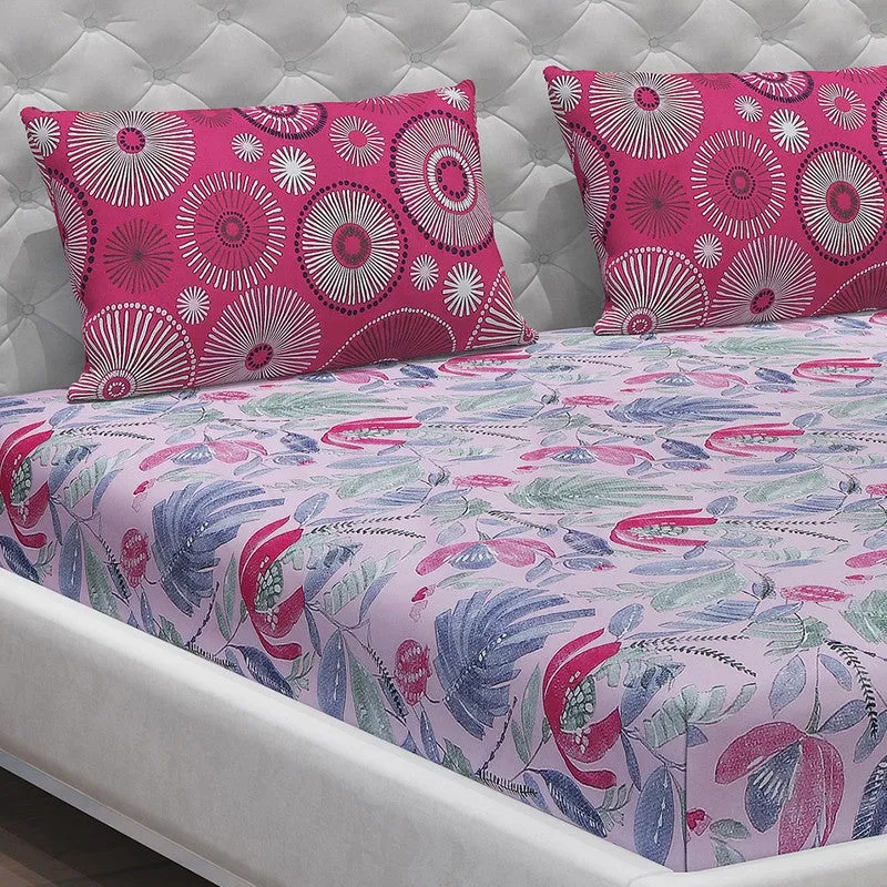 Monte Carlo Floral Dream Cotton Bedsheet(Blue,Pink) - 104 TC media 5