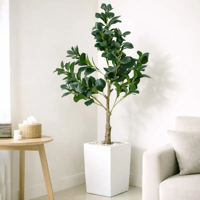 EverGreen Ficus Artificial Plant With Black Plastic Pot - 91 cm (3 ft) media 9