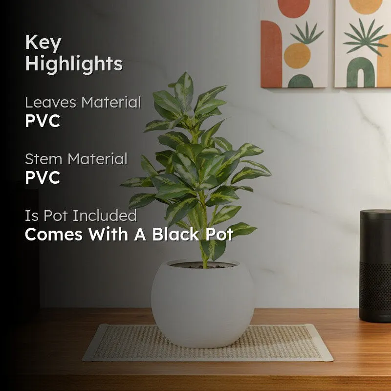 Artificial Croton Leaf Plant With Black Fiber Pot (White) - 1.3 Feet media 2