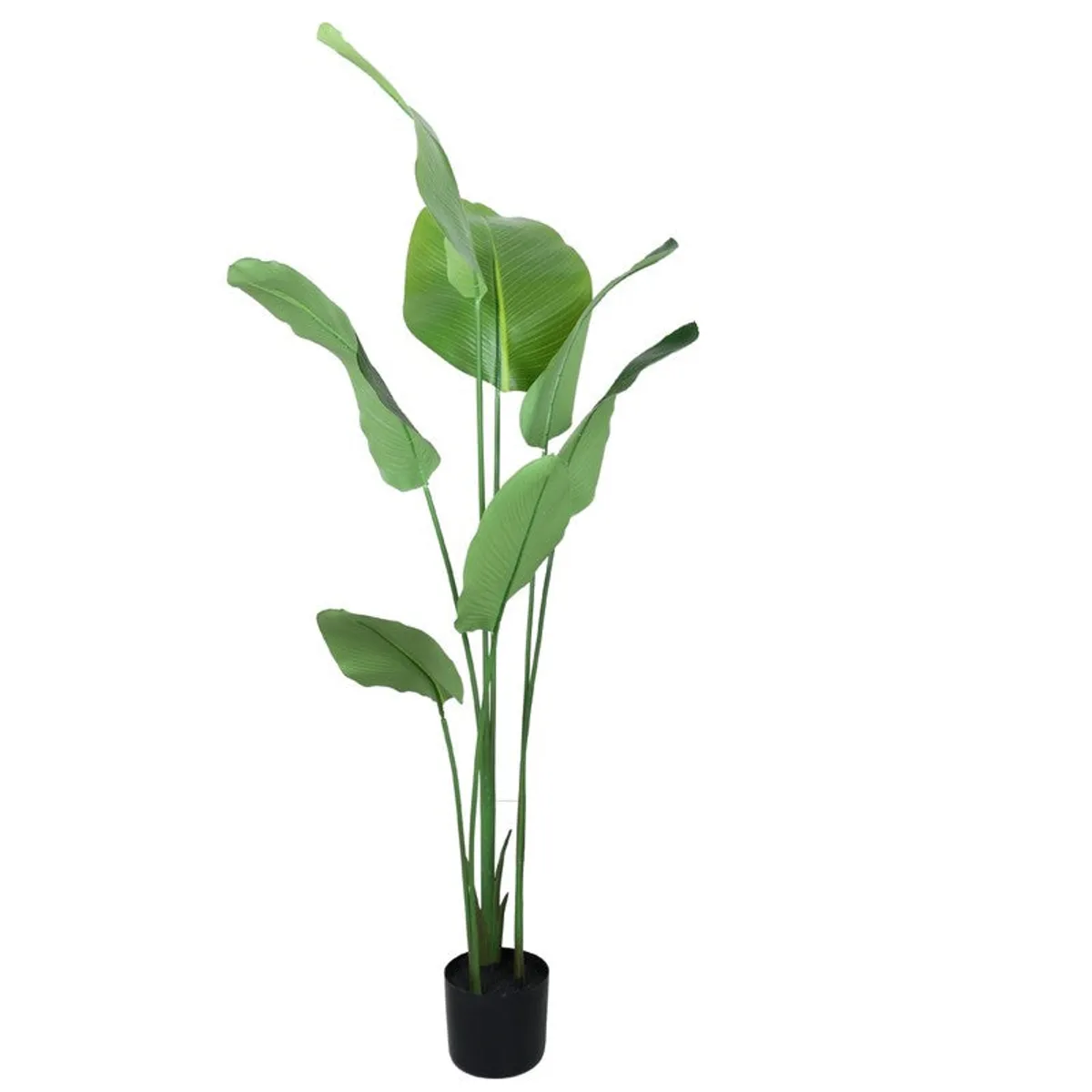 Full artificial calathea plant with seven green leaves in a black pot