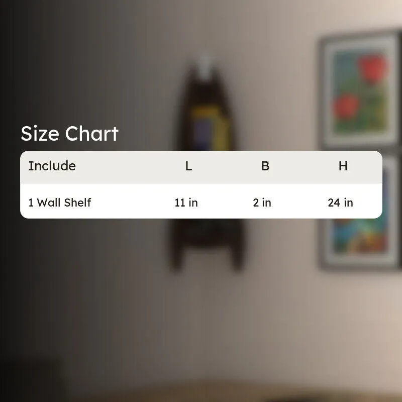 AstroNest Wall Shelf media 7
