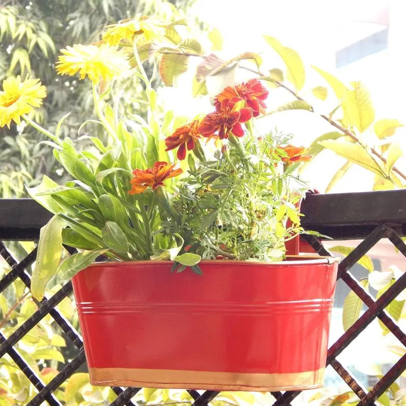 Norva Hanging Planter (Red) - Set Of Three media 1