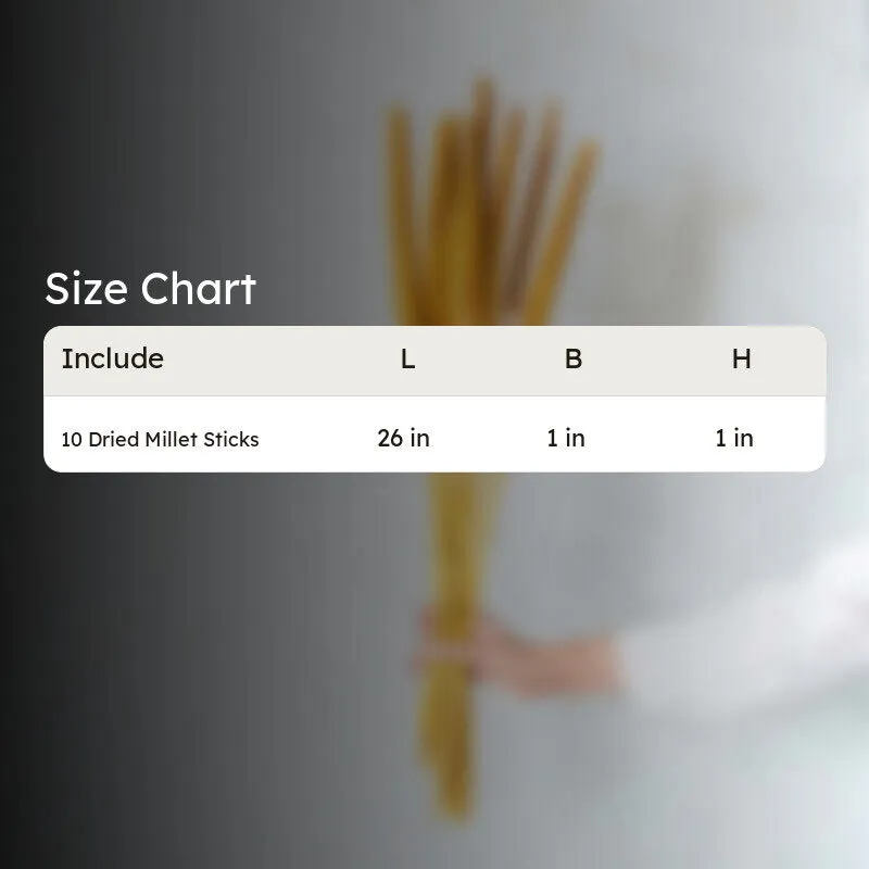 Sival Dried Millet Grass Stick (Yellow) - Set Of Ten media 6
