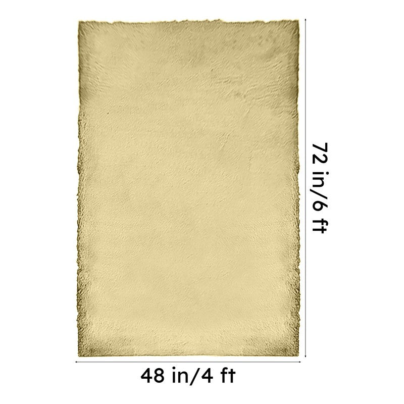 Floratex Anti-Skid Carpet - Beige media 7