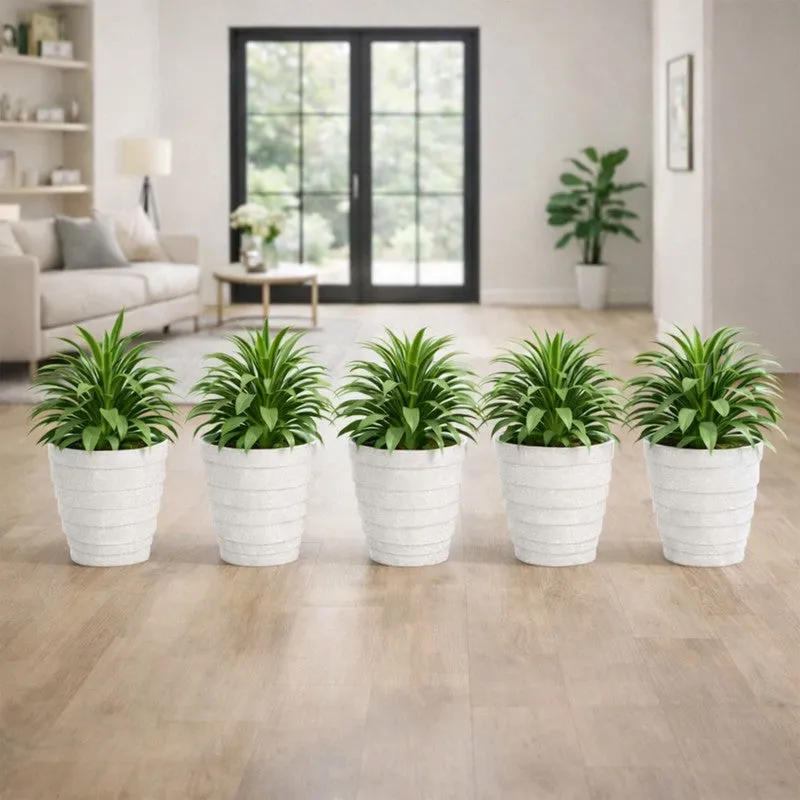 Velora Planters (White) - Set Of Five media 5