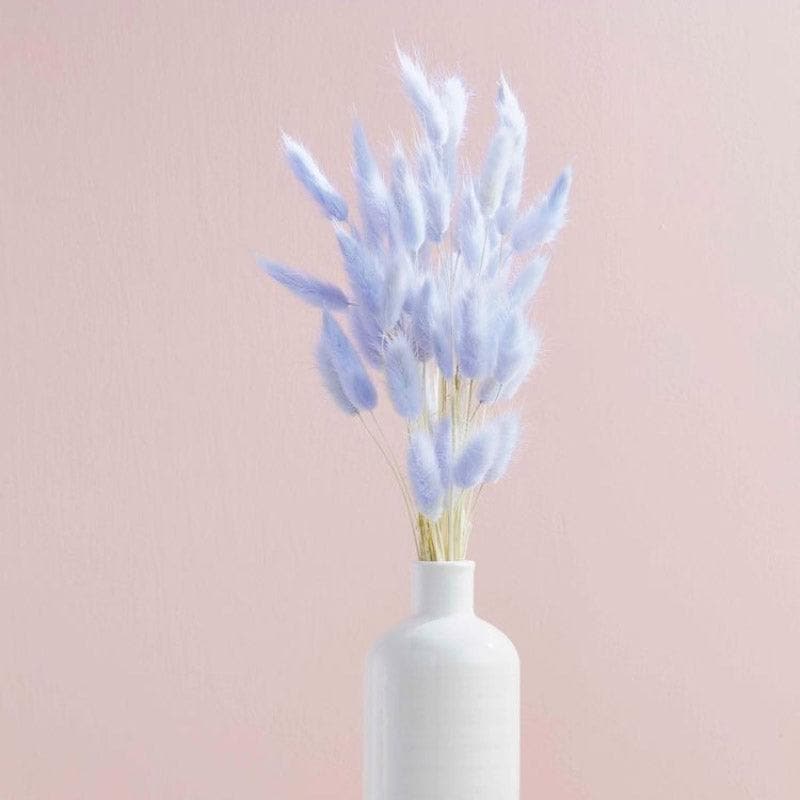 Naturally Dried Bunny Tail Stems (Lilac) - Set Of Fifty media 3