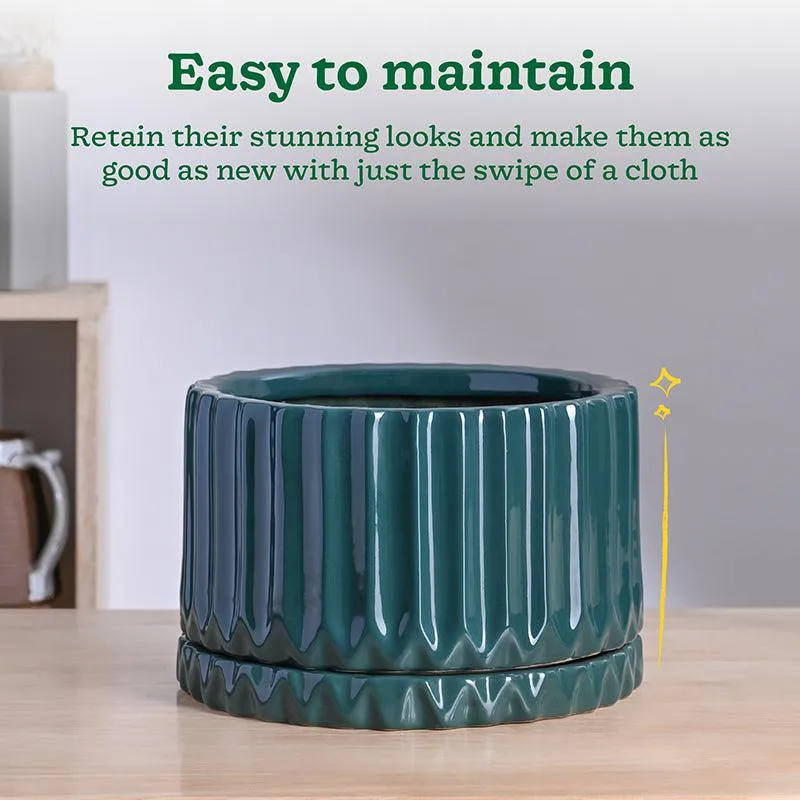 Ugaoo Stria Ceramic Planter - Green media 5