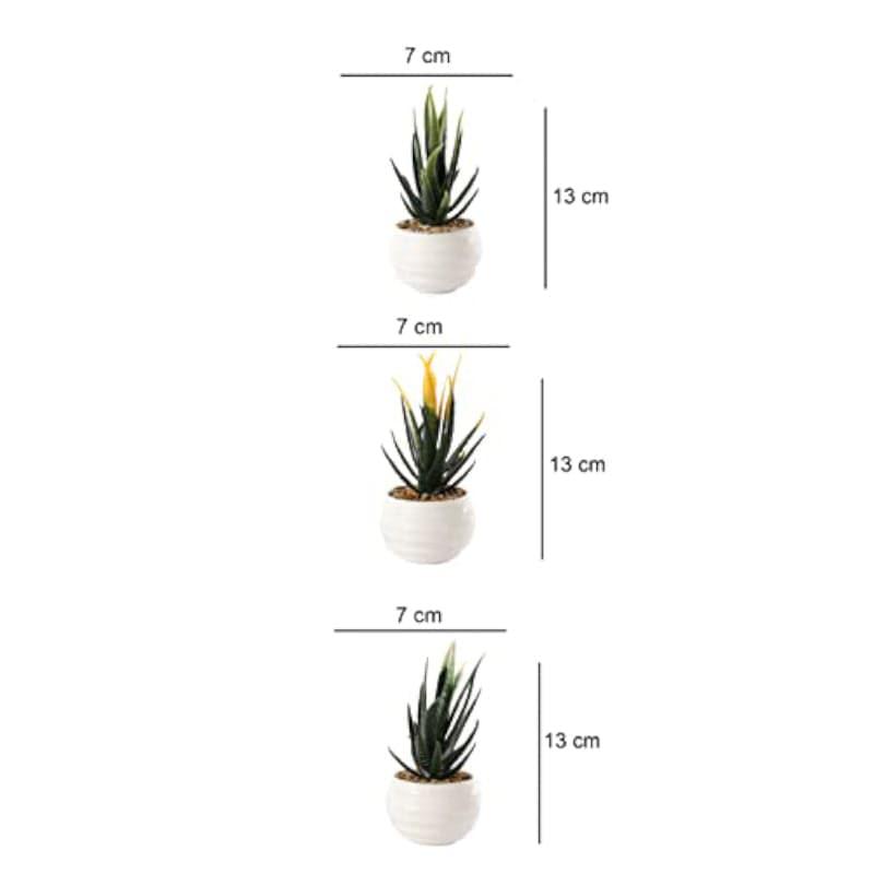 Leda Faux Plant In Borga Pot (13 cms) - Set Of Three media 4