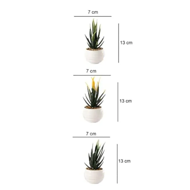 Leda Faux Plant In Borga Pot (13 cms) - Set Of Three media 4