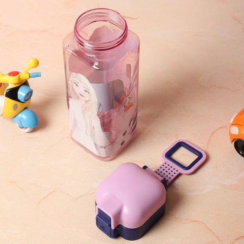 Rosa Frozen Water Bottle - 550 mL media 6
