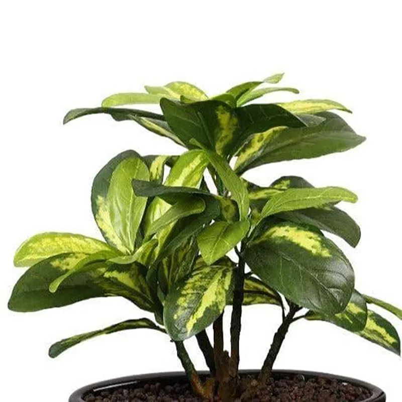Faux Schefflera Bonsai In Bowl Pot - 29 cms media 3
