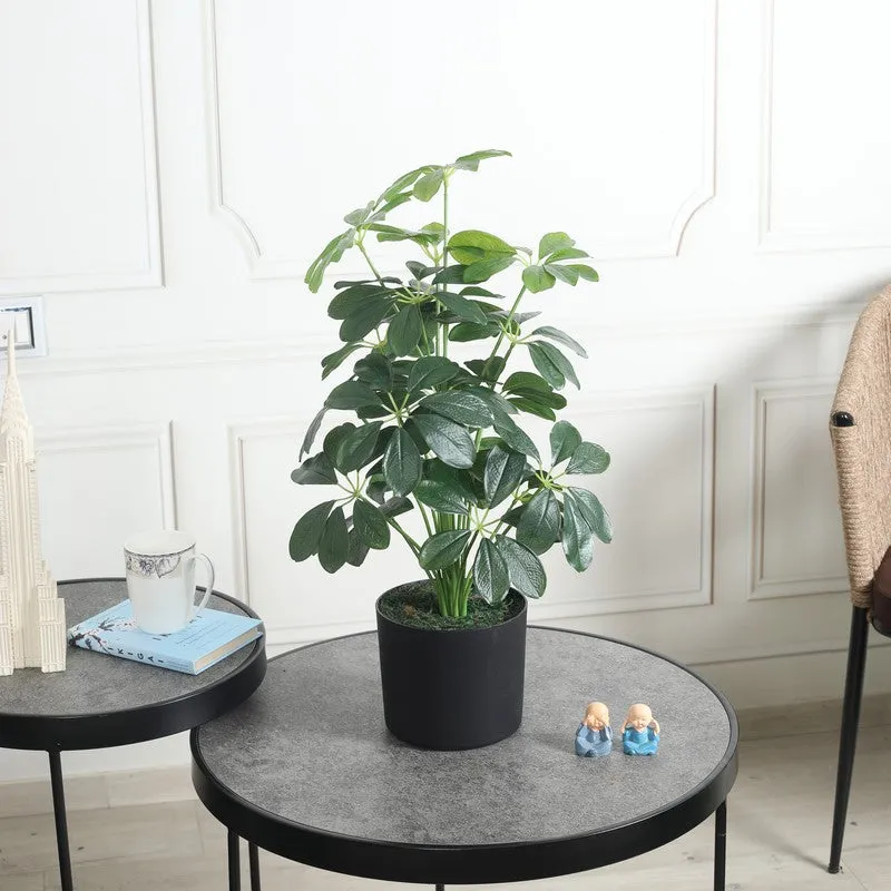 TropiLeaf Schefflera Artificial Plant Without Pot - 2.3 Feet media 2