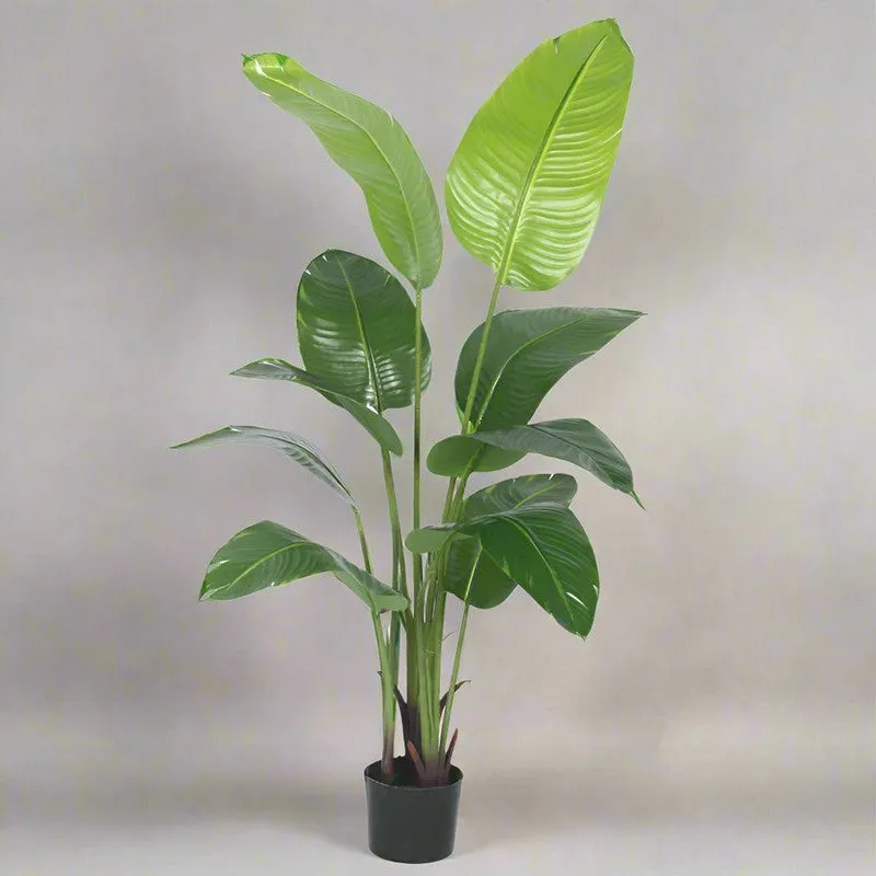 Faux Realtouch Banana Plant With Black Plastic Pot - 4.9 Feet media 3