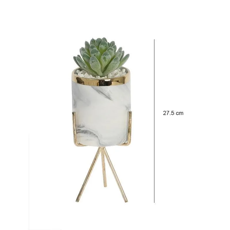 Faux Gasteria In Marble Pot - 22 cms media 5