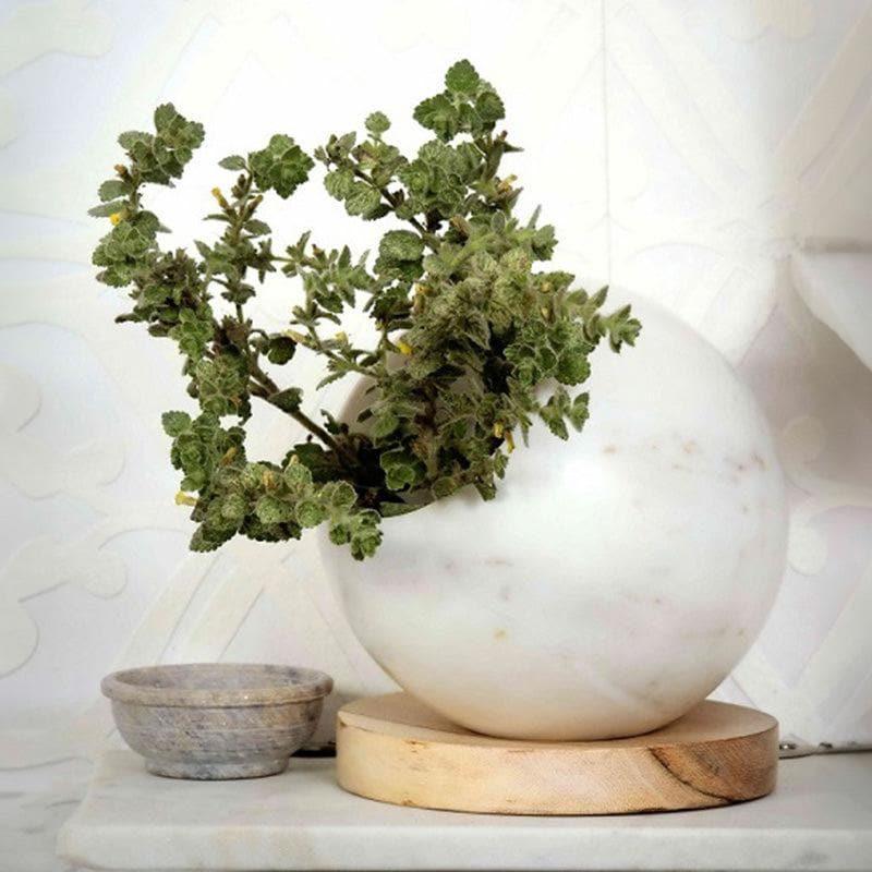 Plant Buddy Ball Hand Crafted Marble Planter media 3