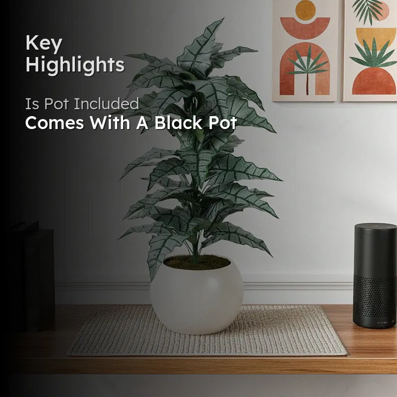 Faux Lush Happy Philo Plant With Black Plastic Pot (Dark Green) - 2.8 Feet media 2
