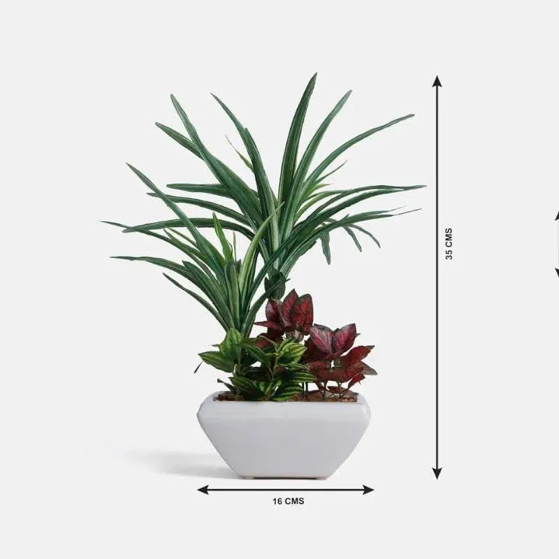 Faux Araceae Bonsai In Ceramic Pot - 34 cms media 4