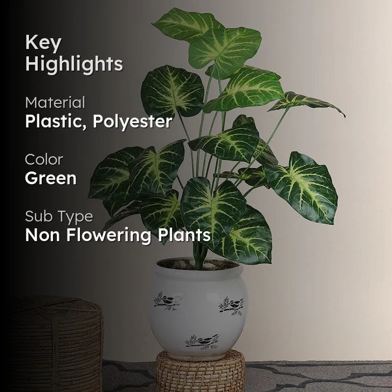 Faux Botanic Light Green Money Plant - 2 Feet media 2