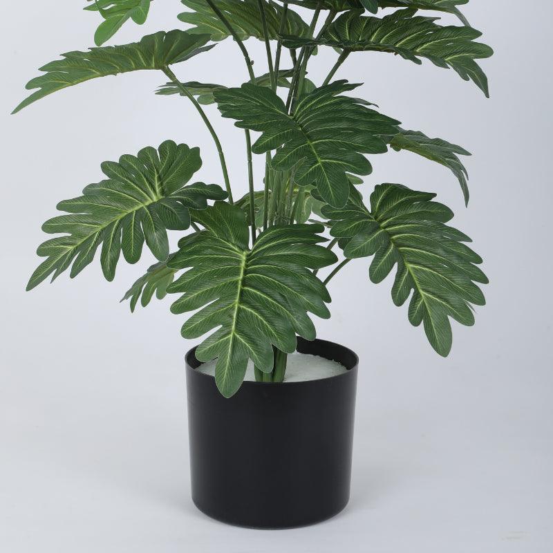 Faux Horse Head Philodendron Plant With Black Plastic Pot - 2.13 ft media 4