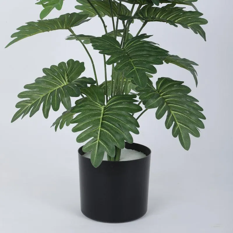 Faux Horse Head Philodendron Plant With Black Plastic Pot - 2.13 ft | Vaaree