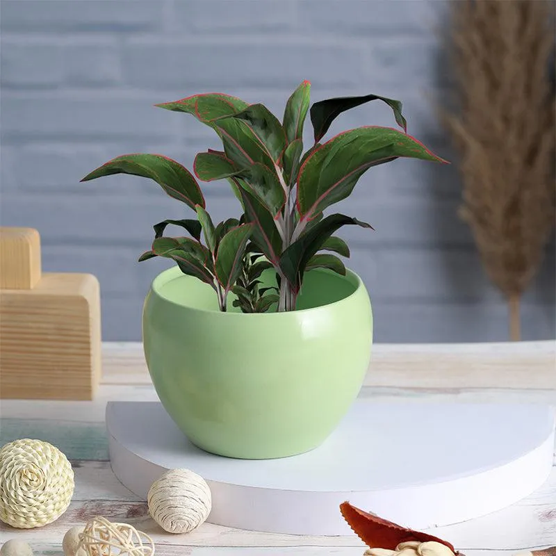 Nectera Metal Planter (Pink/Green) - Set Of Two media 4