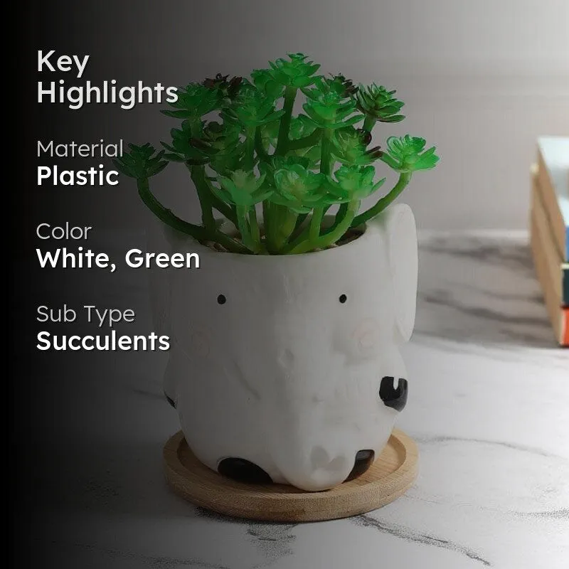 Faux Crassula In Elephant Face Pot - 17.5 cms media 2